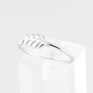 Zilveren ring met veer