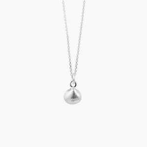 Zilveren ketting met schelp hanger