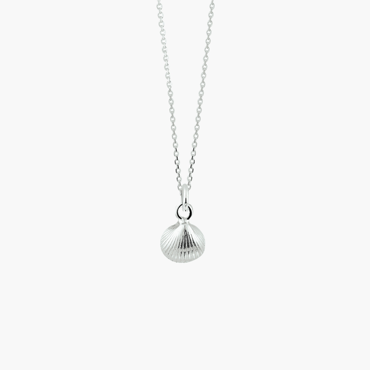 Zilveren ketting met schelp hanger